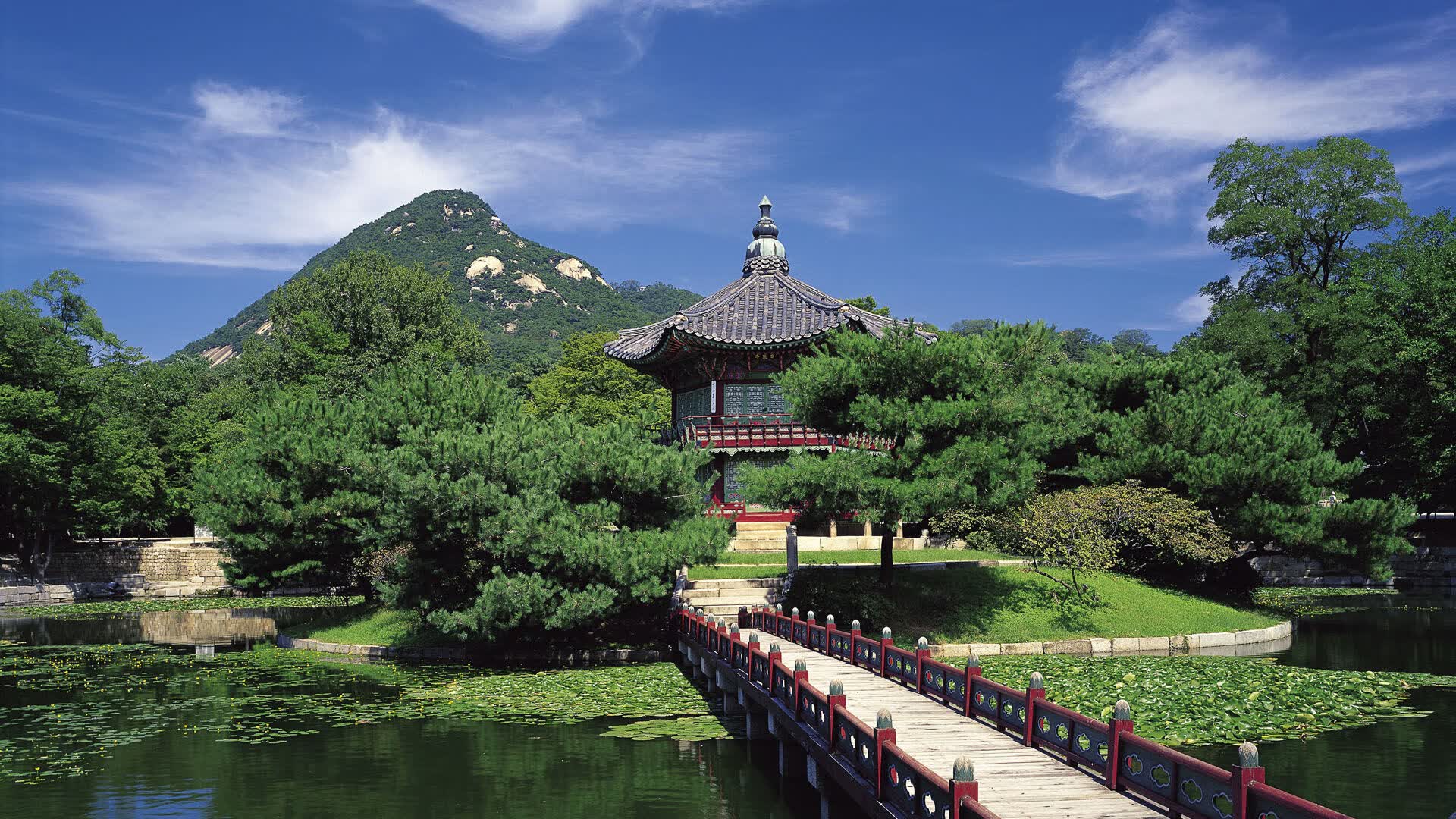 世界短道速滑教练能力认证第101期合格名单与发证安排公布，世界短道速滑冠军